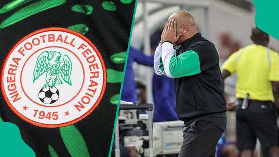 Calls mount for Eric Chelle’s sacking after Super Eagles miss out on World Cup ticket