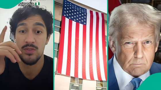 "Bro, he's lying": Oyibo man reacts to Trump’s threat, sends message to Nigerians, video trends