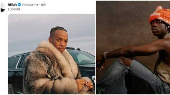 "Let’s also celebrate those who just do it": Singer Rema sparks reactions as he hails senior colleague Tekno