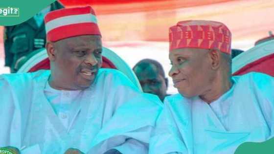 Shinkafar Tinubu: Kwankwaso ya zargi gwamnati da ware Abba cikin gwamnoni 36