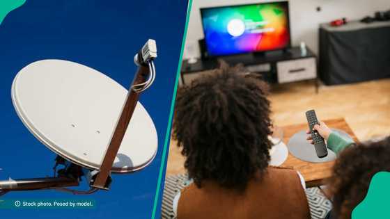 New rival for DStv as another pay TV with N7,500 subscription fee launches in Nigeria