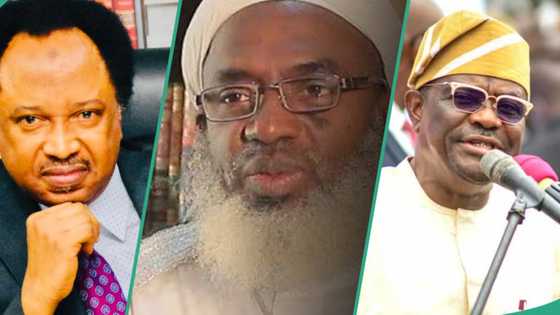 Shehu Sani Ya Yi Zazzafan Martani Yayin da Sheikh Gumi Ya Kira Wike Da "Shaidanin Mutum"