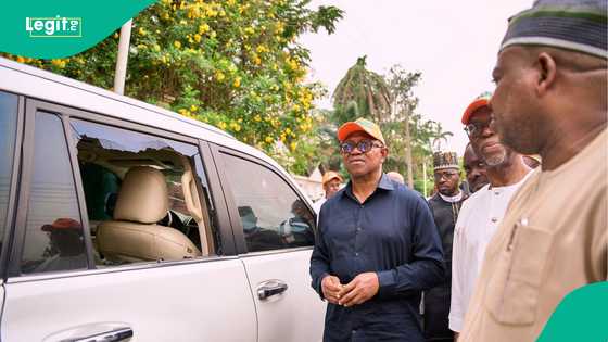 Tashin hankali: 'Yan bindiga sun farmaki Peter Obi, an yi yunkurin kashe shi a Benin