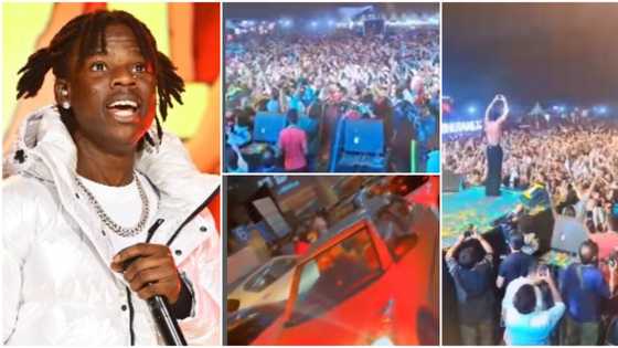 Moment Rema’s concert caused traffic in Delhi, India, video of singer performing Calm Down leaves many gushing