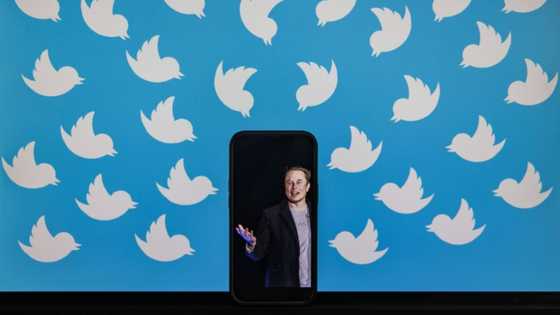 Musk subpoenas Twitter whistleblower in buyout battle