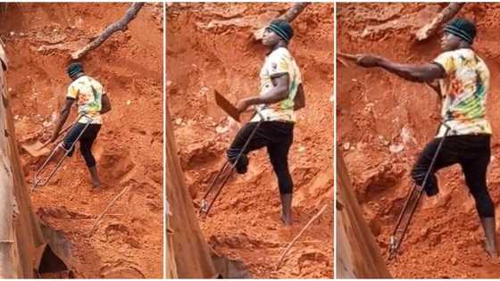 "Oh God": Video of a disabled man loading sand in tipper goes viral, his determination melts hearts