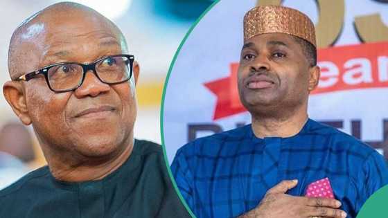 Peter Obi’s ally speaks on dumping Labour Party, rejoining APC, “LP Leadership bunch of clowns”