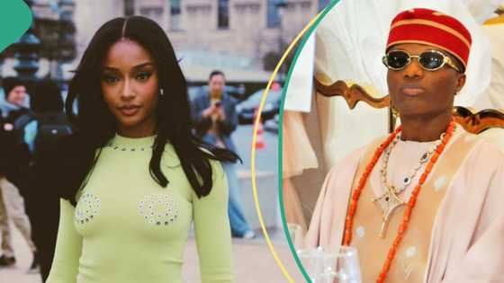 Ayra Starr shuns big 3 debate, picks her Afrobeats king, choice draws reactions