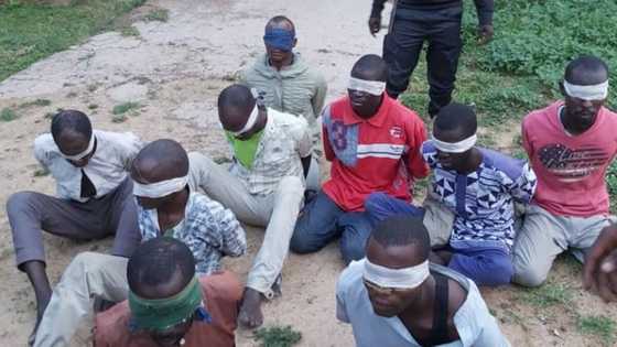 Borno: 'Yan Boko Haram sun yanka manoma 15 a daura da Maiduguri