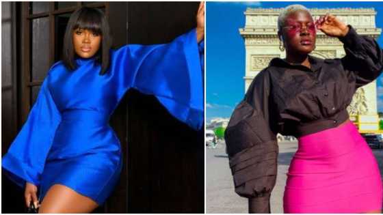 Video as Alex and Cee C trade words, give Double Wahala vibes over wager task: "She stood up to her, love it"
