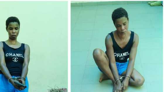 Hotunan wata mata da aka kama da bindiga da harsashi da ɗimbin muggan ƙwayoyi a Delta