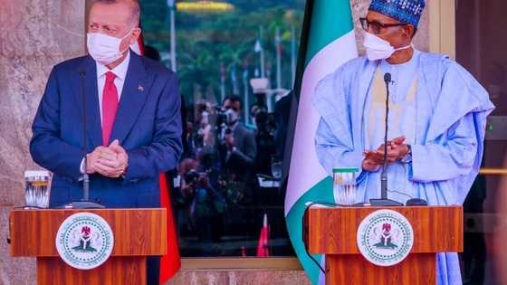 7 crucial takeaways from Buhari's meeting with Turkish President