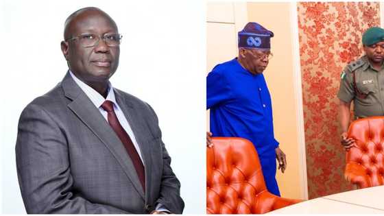 Coup d’état: Why Nigeria can’t go to war with Niger Republic, Senator Bali explains