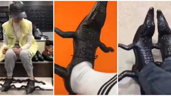 Video of man rocking bizarre crocodile shoes leaves internet users amused: "Lacoste live and direct"