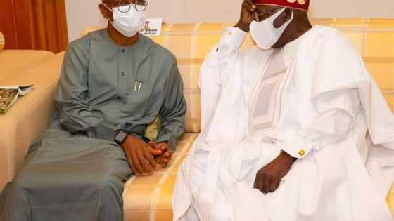 Wannan irin hadi haka! Martanin yan Najeriya bayan dan El-Rufai ya fitar da hoton mahaifinsa da Tinubu