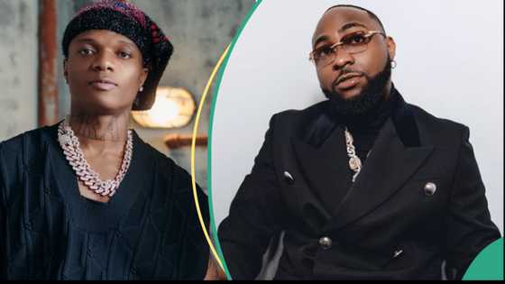 Wizkid stirs chaos as he advises fans amid rumours of Davido's dipped meme coin: "U don start again"