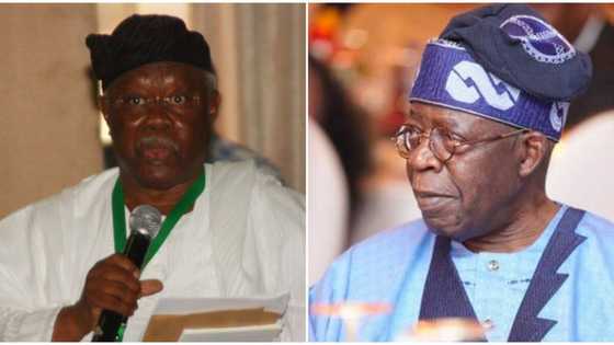 Bode George: Zan tattara na koma Ghana sannan na dunga kallo daga nesa idan Tinubu ya zama shugaban kasa