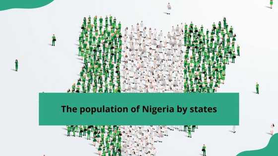 What is the population of Nigeria by states: Latest data as of 2024