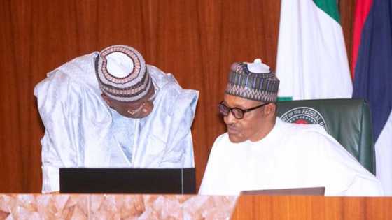 Boko Haram: Yadda 'yan Najeriya za su kawo karshen rashin tsaro - FG