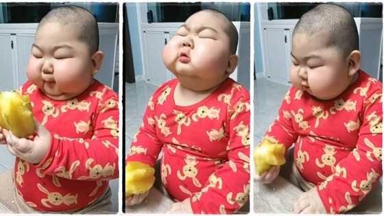 "What's going on here?" Cute baby with plumpy cheeks eats fruit agressively, video goes viral on TikTok