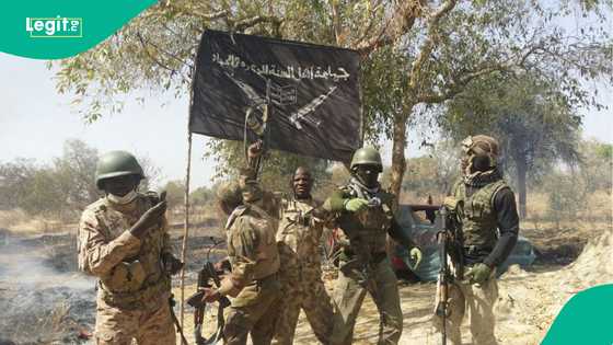 Boko haram leader Shekau once secretly lived in Kano where he used a new name