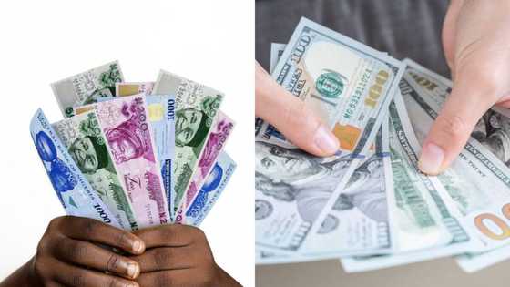 Boost for naira as Afrexim Bank, UBA disburses $2.25 billion NNPC loan