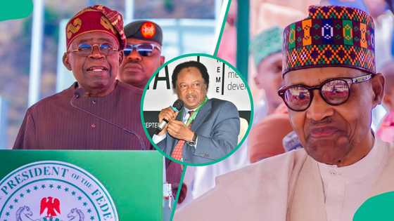 Shehu Sani ya yabi Tinubu, ya fadi laifin da Buhari ya yi wa Arewa a shekara 8