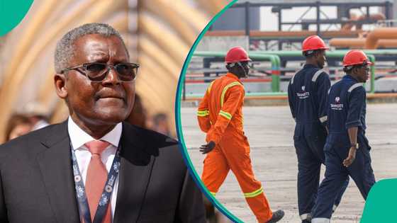 Fresh Dangote—PENGASSAN dispute looms as refinery Stops Salaries of Sacked Engineers