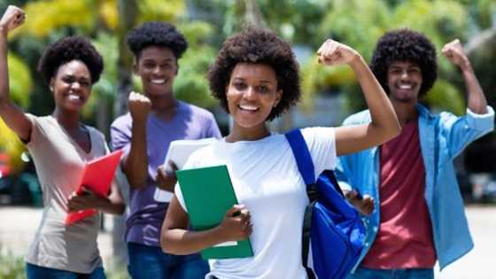 Top 9 ethnic groups in Nigeria with highest percentage tertiary education graduates