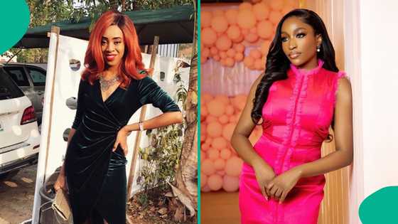 Somtochukwu Maduagwu: Lawyer shares what many people don't know about late ARISE News anchor