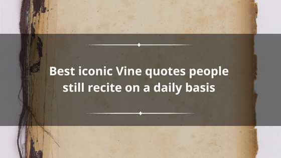 Best iconic Vine quotes people still recite on a daily basis