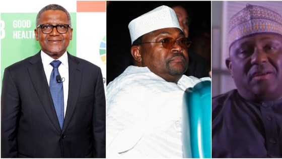 3 richest people in Nigeria and what they have in common as Otedola is missing in the list