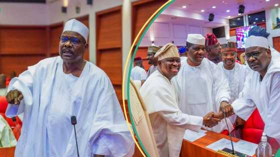 Sanatan Arewa ya kawo dabarar da talaka zai mallaki buhun abinci babu ko sisi