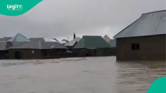 Ambaliya ta lalata gonaki da gidaje bayan mamakon ruwan sama a Kaduna