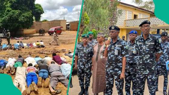 Zaɓen cike gurbi: Yadda 'yan sandan Kano su ka kama 'yan daba sama da 100