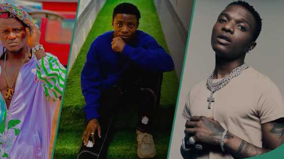 "If you like feature Wizkid": Video as Portable Zazu drops new version of Yung Duu's song