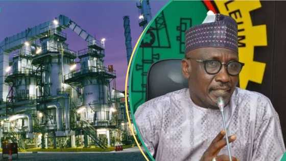 NNPC explains reasons for delay in completing Port Harcourt amid high petrol imports