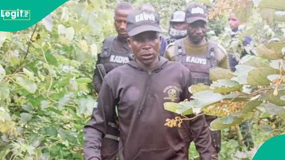 An kashe jagoran 'yan banga, Saleh Fiya Fiya a dajin Kaduna