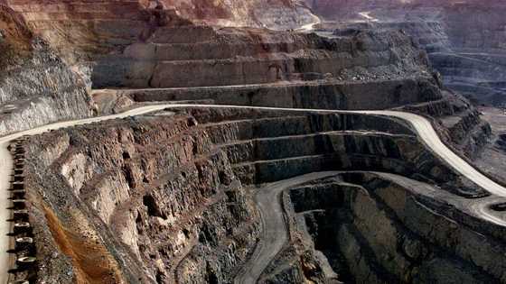 Gold falls again as rally comes to halt, Asian markets drop