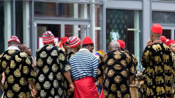 Kungiyar 'yan arewa ta bukaci a bai wa Ibo shugabancin kasa a 2023