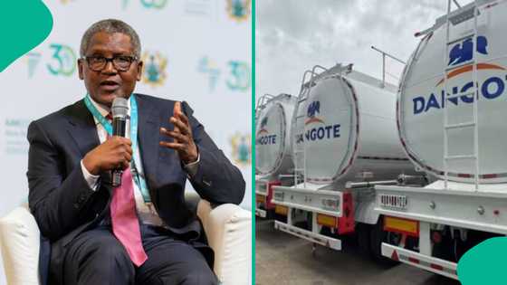 Dangote zai fara raba mai kyauta a Najeriya, Za a fara da jihohi 10 da Abuja