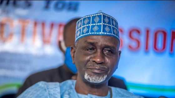 Crisis in APC as Shekarau’s faction rejects party's power-sharing template