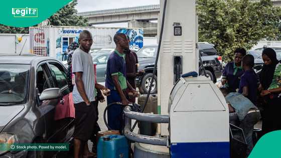 "We have to abide": Dangote’s petrol price reduction causes headache for marketers