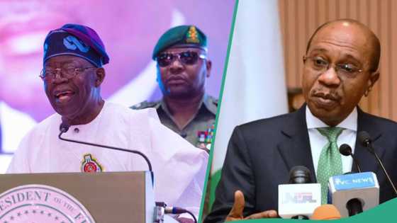 Binciken da aka yi a CBN ya bankado abubuwan da Emefiele ya aikata lokacin Buhari