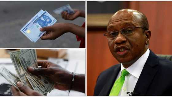 Five major reasons why naira's value depreciated heavily in 2022 and why it will continue in the new year