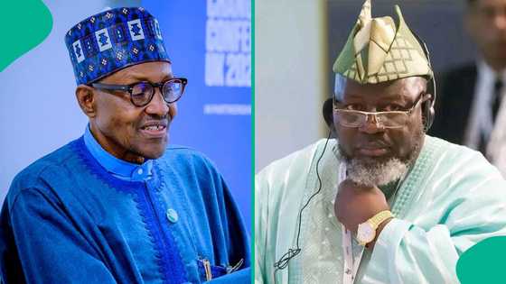 Tsohon Minista ya yi bayanai, ya fadi abin da ya hana Buhari magance rashin tsaro da cin hanci