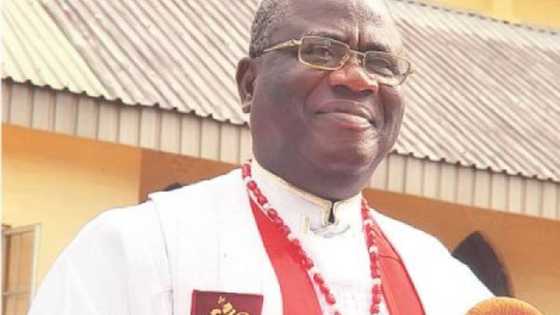 Cleric asks FG to pay N25,000 stipend for repentant Boko Haram and bandits