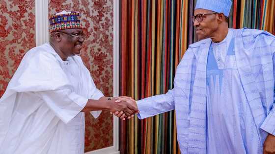 Senate president reveals what is undermining Nigeria's fight against insecurity