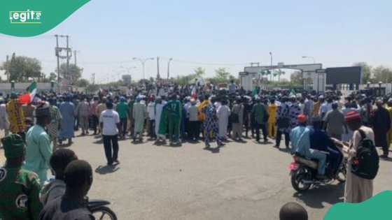 Yan sanda sun dakatar da zanga-zangar NLC a Borno a kan wani dalili 1 tak