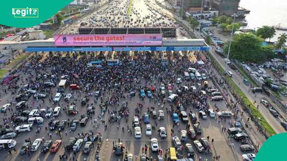 Zanga zanga: Gwamnati da jami'an tsaro sun shiga matsala, lauya na neman diyyar N1bn